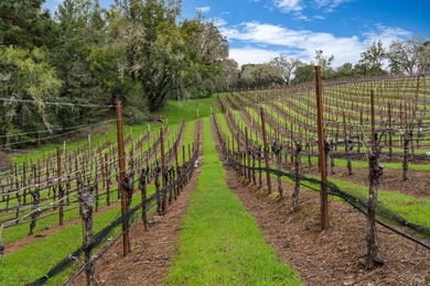 Lakeview Vineyard is a stunning 17-Acre Estate with a Pinot Noir - photo 36