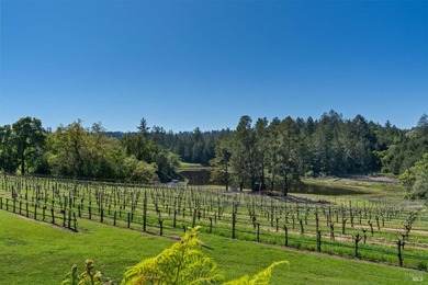 Lakeview Vineyard is a stunning 17-Acre Estate with a Pinot Noir - photo 45