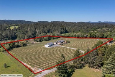 Lakeview Vineyard is a stunning 17-Acre Estate with a Pinot Noir - photo 46