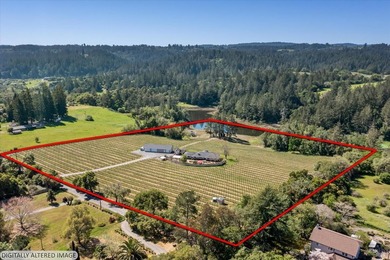 Lakeview Vineyard is a stunning 17-Acre Estate with a Pinot Noir - photo 47