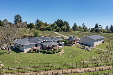 Lakeview Vineyard is a stunning 17-Acre Estate with a Pinot Noir - photo 49