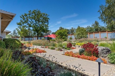 Lakeview Vineyard is a stunning 17-Acre Estate with a Pinot Noir - photo 50