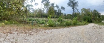 3 lots in Riverbend Subdivision. ONE is LAKEFRONT.  - Lake Acreage For Sale in Falls Of Rough, Kentucky