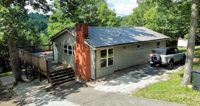 Lakefront with 2 lots & 2 docks!  Super cute and cozy - Lake Home For Sale in Leitchfield, Kentucky