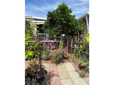 1065 Lomita Blvd 250 - photo 25