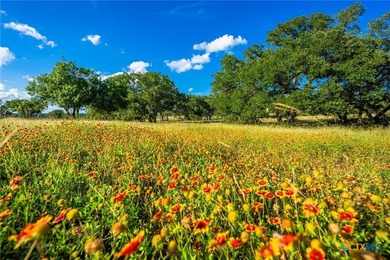 Located in Oatmeal, Texas, in one of the fastest-growing areas - photo 35