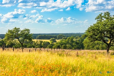 Located in Oatmeal, Texas, in one of the fastest-growing areas - photo 36
