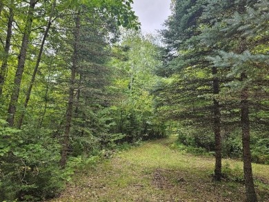(private lake, pond, creek) Lot For Sale in Gladwin Michigan