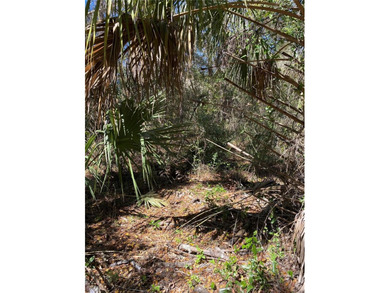 Rush Lake Lot For Sale in Dunnellon Florida