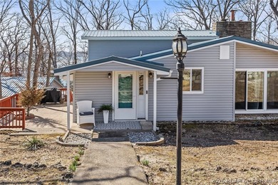 Newer metal roof, gutters & downspouts, newer vinyl siding - photo 6