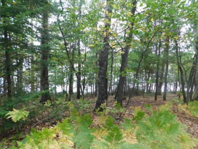 Lake Nokomis Lot For Sale in Nokomis Wisconsin