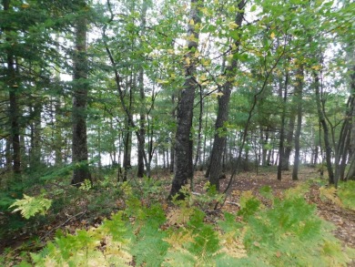 Lake Lot Off Market in Nokomis, Wisconsin