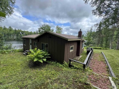 Lake Home For Sale in Crystal Falls, Michigan
