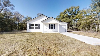 Lake Home For Sale in Dunnellon, Florida