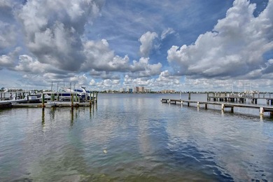In town sophisticated waterfront luxury in Lake Towers. This - photo 15