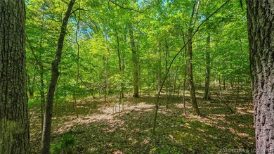 Nestled in the prestigious community of Porto Cima along Spring - photo 3