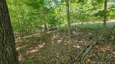 Nestled in the prestigious community of Porto Cima along Spring - photo 4