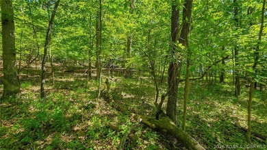 Nestled in the prestigious community of Porto Cima along Spring - photo 7