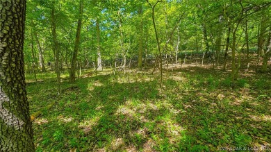 Nestled in the prestigious community of Porto Cima along Spring - photo 8