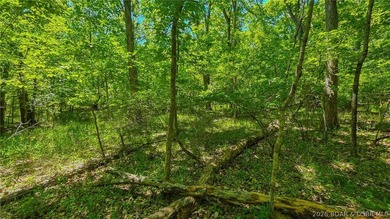 Nestled in the prestigious community of Porto Cima along Spring - photo 9
