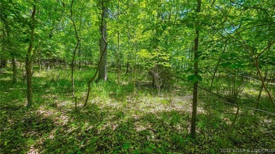 Nestled in the prestigious community of Porto Cima along Spring - photo 10