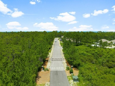 Private 0.8 Acre Lot - one of the largest lots in Eagle Bay - photo 38