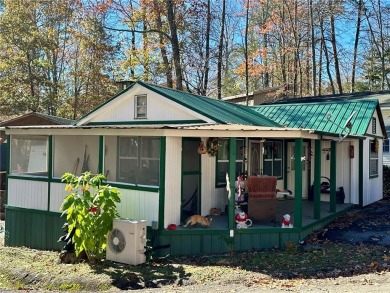 Lake Home For Sale in Cleveland, Georgia