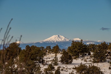 Updated Pricing-Exceptional Opportunity. Embrace the Brasada - photo 11