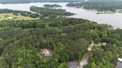 Build your dream home on this beautiful 0.45-acre lot located in - photo 41