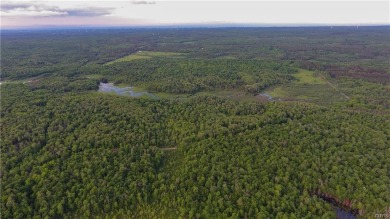 Nature abounds on this outstanding parcel of 7+ secluded acres - Lake Acreage For Sale in Lowville, New York