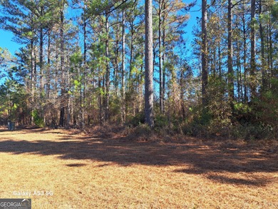 Lake Lot For Sale in Kingsland, Georgia