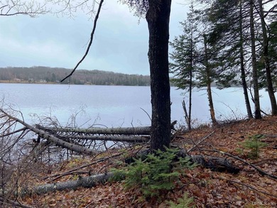 Your Ultimate Northwoods Destination!! Build your dream home on - photo 3