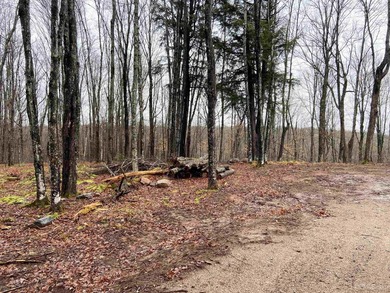 Your Ultimate Northwoods Destination!! Build your dream home on - photo 4