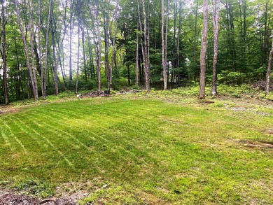 Your Ultimate Northwoods Destination!! Build your dream home on - photo 5