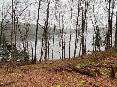 Your Ultimate Northwoods Destination!! Build your dream home on - photo 6