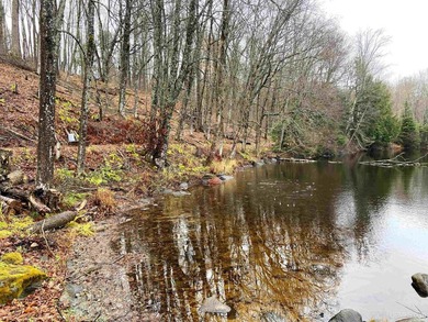 Your Ultimate Northwoods Destination!! Build your dream home on - photo 7