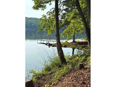 Your Ultimate Northwoods Destination!! Build your dream home on - photo 8