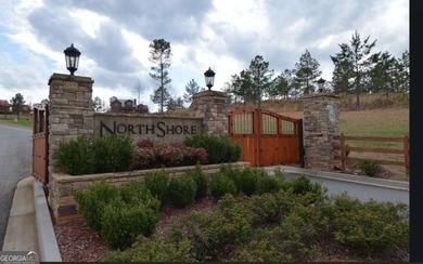 Beautiful 2.21 acre lot with lake access in the sought-after - photo 11