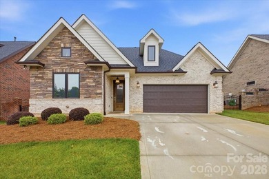 Luxury, Low-Maintenance Living in The Springs at Westport! This - photo 1