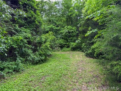Large Lake Front Lot with 230 ft of Lake Front and 1.3 Acres - photo 5