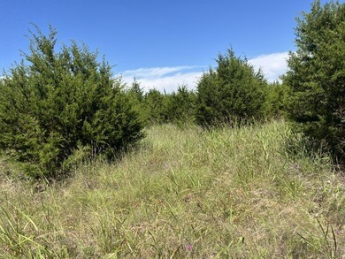 Welcome to this 66.66 acre ranch property offering privacy - photo 3
