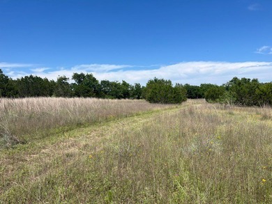 Welcome to this 66.66 acre ranch property offering privacy - photo 4