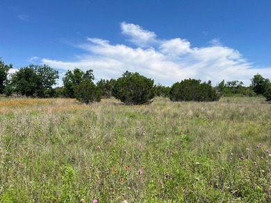 Welcome to this 66.66 acre ranch property offering privacy - photo 5