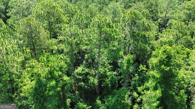 Build your dream home on this beautiful 1.9 acre unimproved lot - photo 7