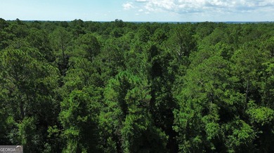 Build your dream home on this beautiful 1.9 acre unimproved lot - photo 8