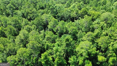 Build your dream home on this beautiful 1.9 acre unimproved lot - photo 10