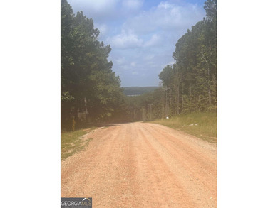 Lake Acreage For Sale in Locust Grove, Georgia