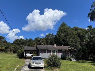 Lake Home For Sale in Ocklawaha, Florida