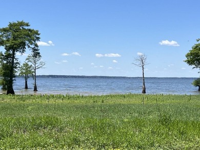 Toledo Bend waterfront on the North part of the lake. Big views - photo 22