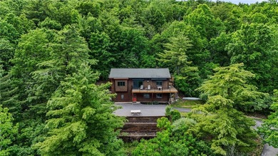Experience the beauty of the Finger Lakes from this exceptional - photo 6